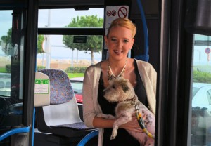 Hundebus Mallorca