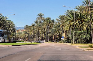 Paseo Maritimo Mallorca