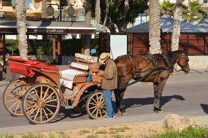 Pferdekutsche Mallorca